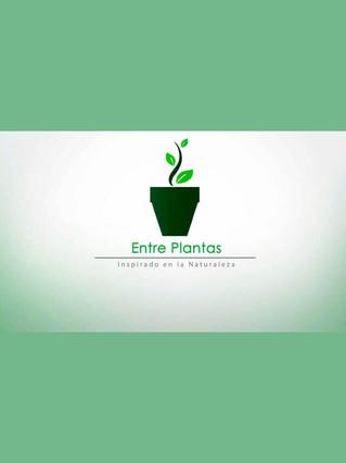 EntrePlantas - 2022